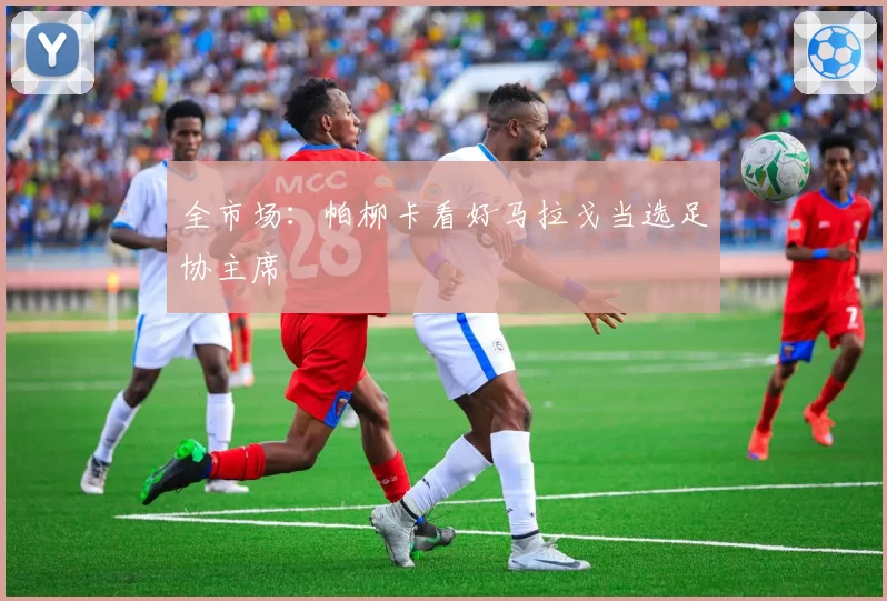 全市场:帕柳卡看好马拉戈当选足协主席
