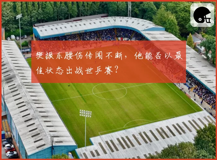 樊振东腰伤传闻不断,他能否以最佳状态出战世乒赛?