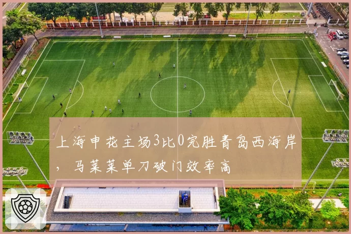 上海申花主场3比0完胜青岛西海岸，马莱莱单刀破门效率高